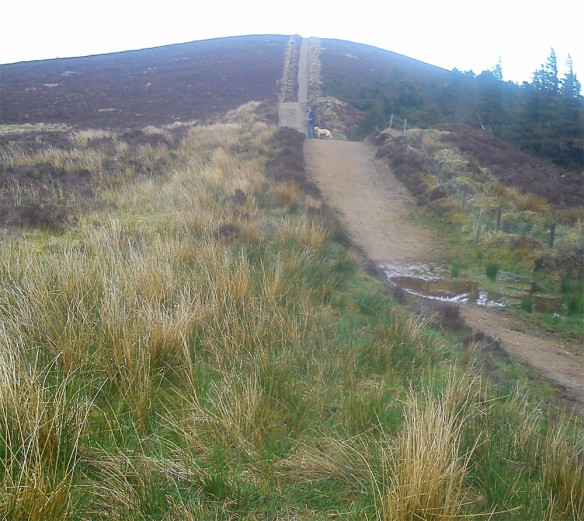 Path up to West Top (the first two 'roller coaster' bits are just teasers, 'warm-ups' if you like!)