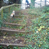 Steps to the stile